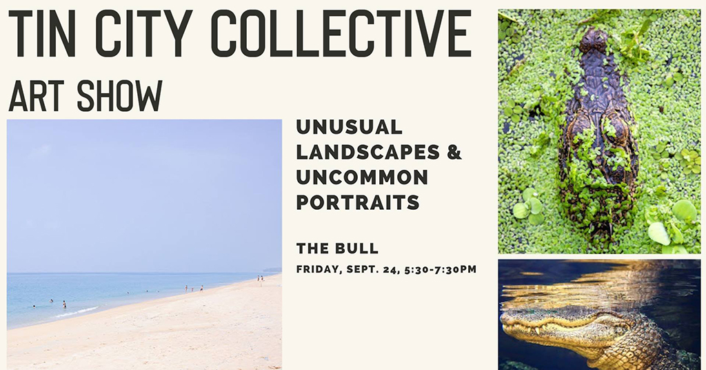 tin city collective art show