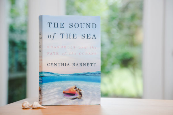 the sound of the sea