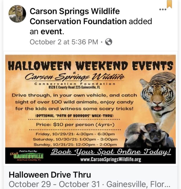 halloween weekend tour