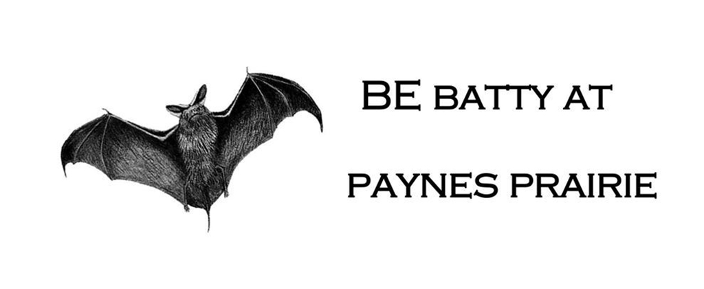 be batty at paynes prairie