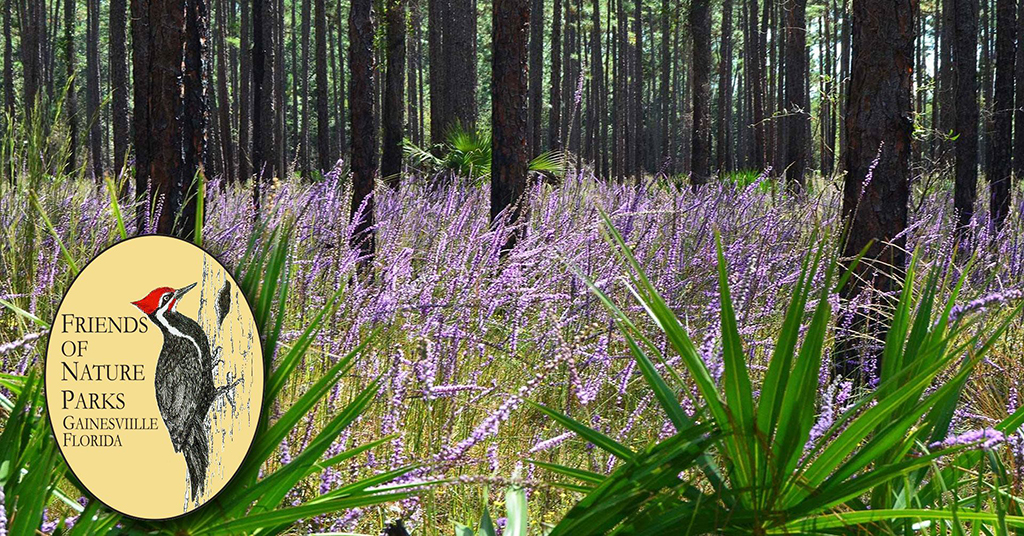 wildflower walks