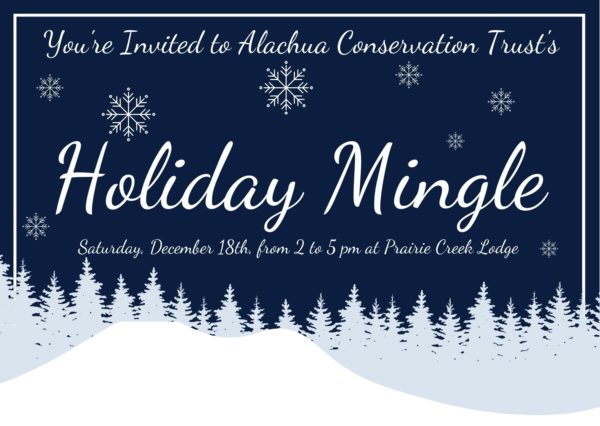 holiday mingle