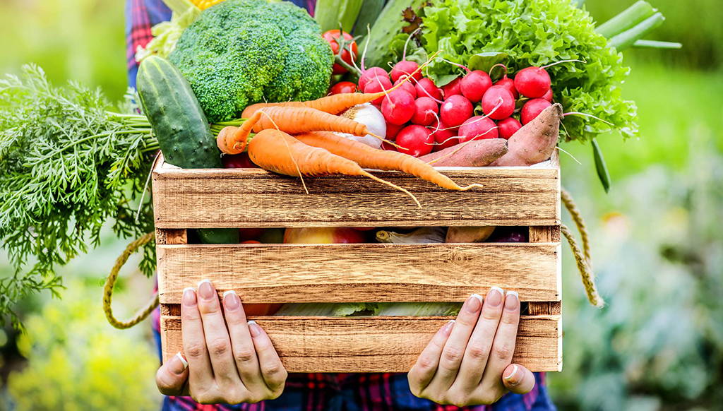 basket of farm veggies