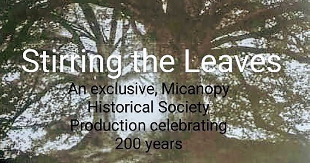 stirring the leaves