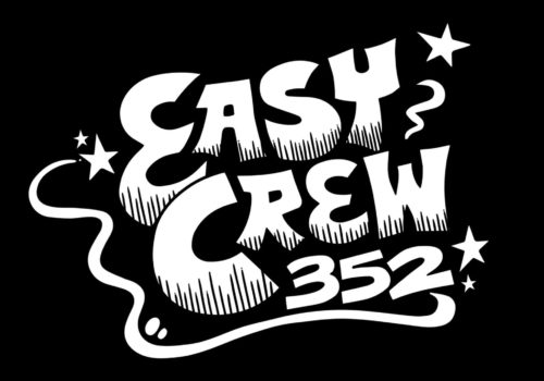 Easy Crew 352