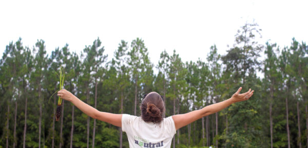 person in front of pine trees