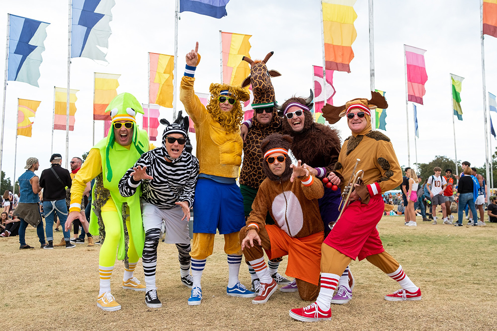 bears and lions band
