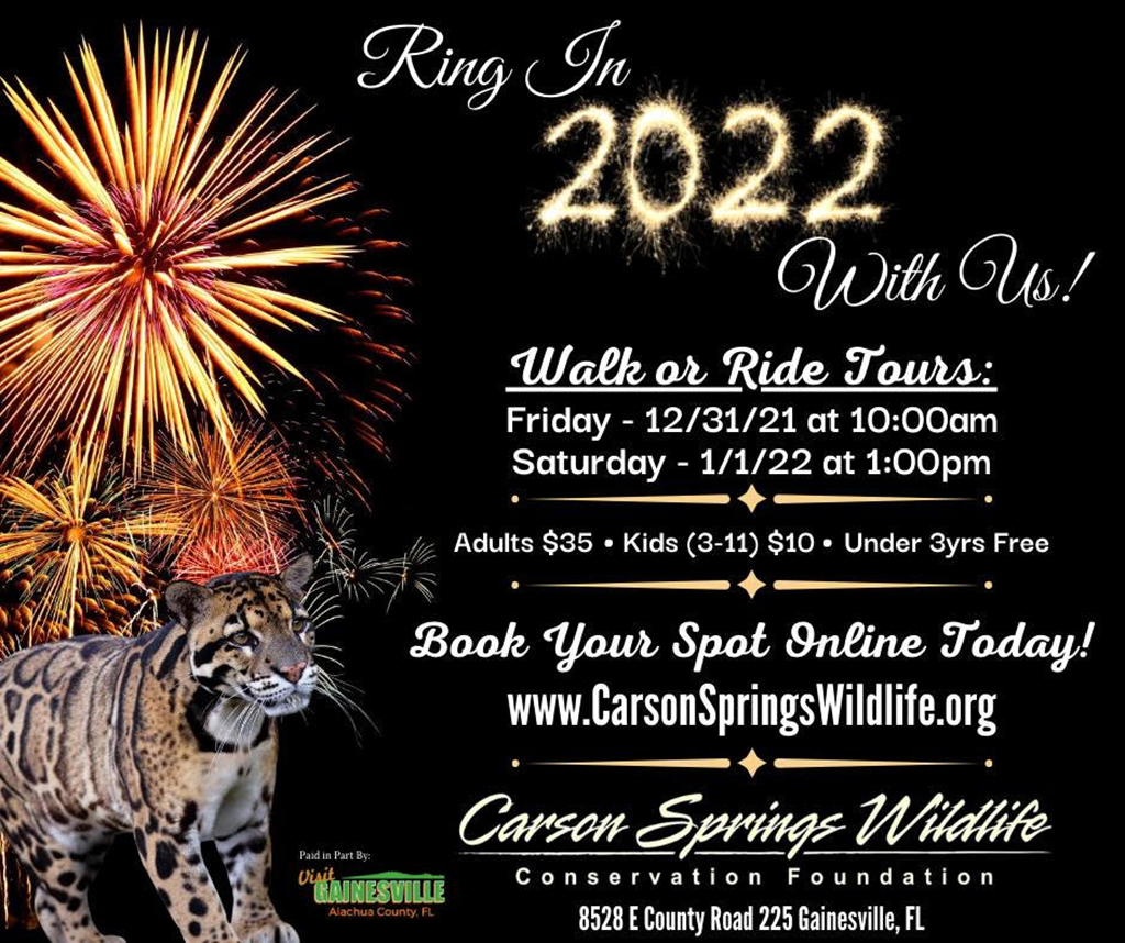 nye carson springs