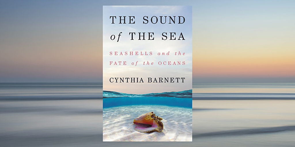 the sound of the sea