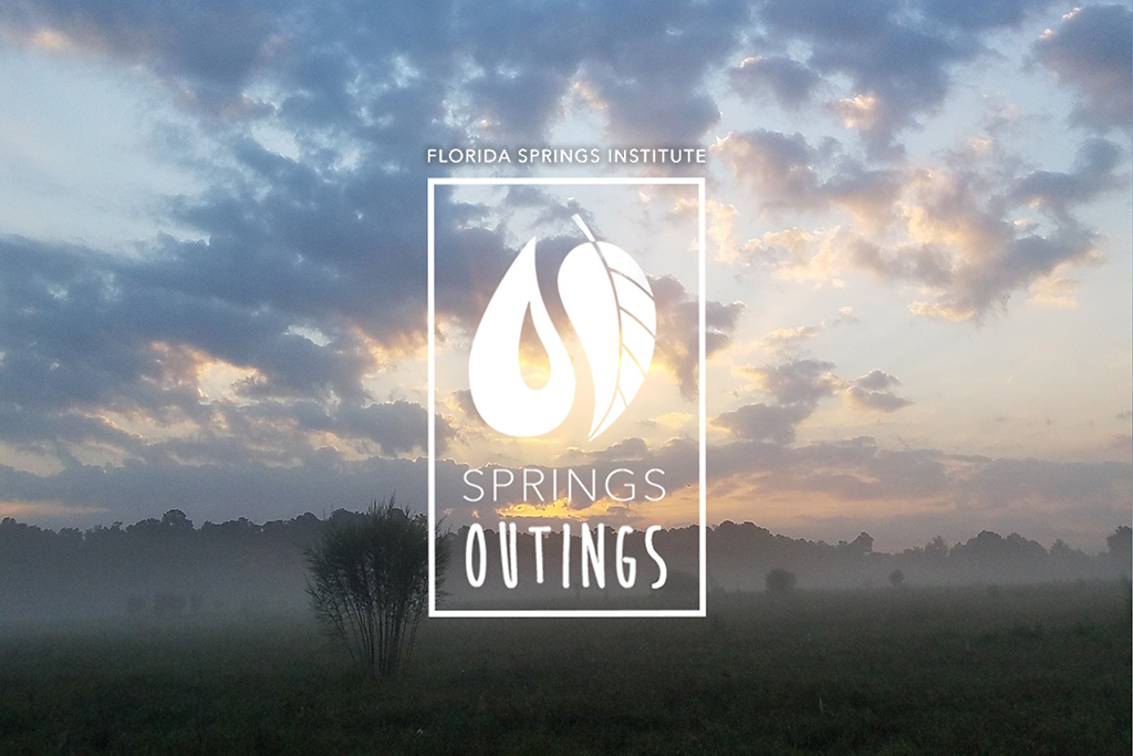 springs outing