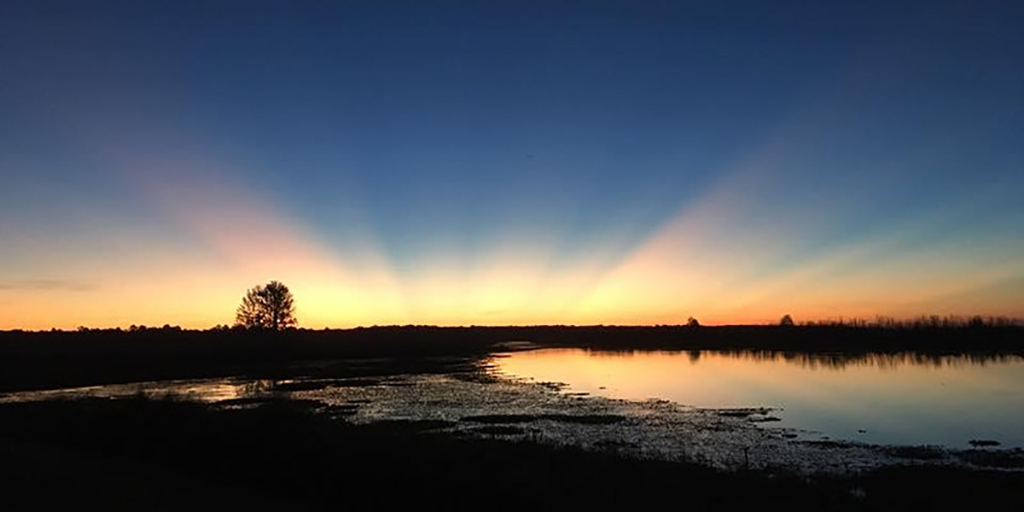 sunrise at sweetwater