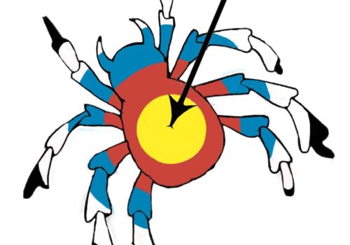 spider cup logo