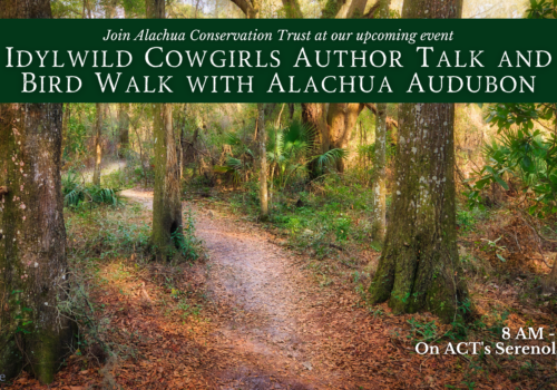 Idylwild Cowgirls Author Talk and Bird Walk with Alachua Audubon