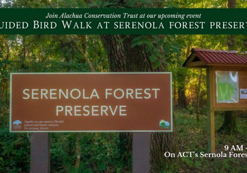 Bird Walk at Serenola Forest Preserve