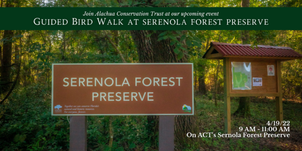 Bird Walk at Serenola Forest Preserve