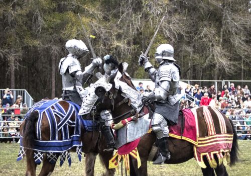 knights at hoggetowne