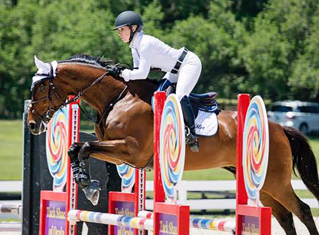 horse jumping