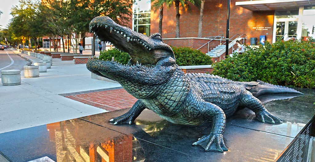 bull gator statue at UF Ben Hill Griffin Stadium aka the Swamp