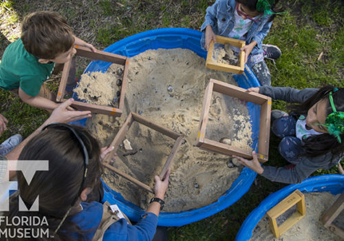 kids playing in dig pit