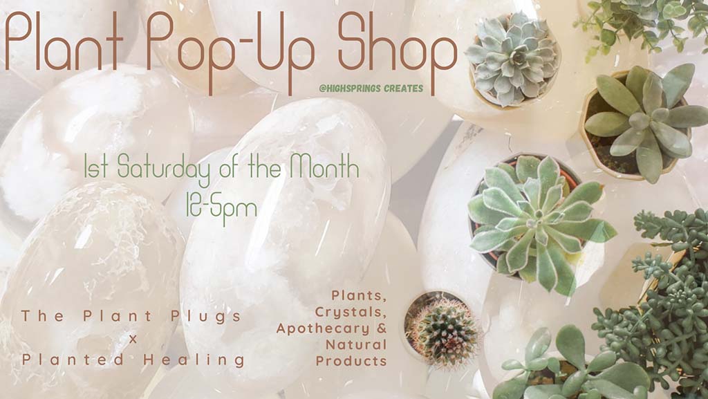 plant pop up shop