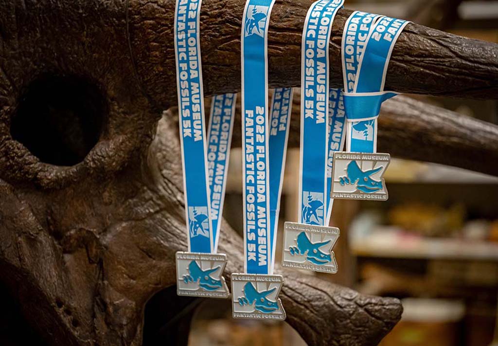 5K race medals at the museum