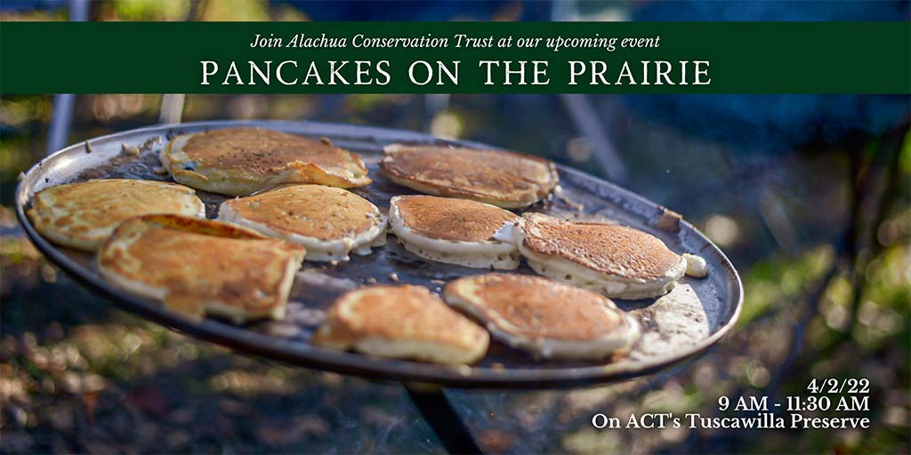 pancakes on the prairie