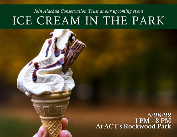 Ice Cream In The Park
