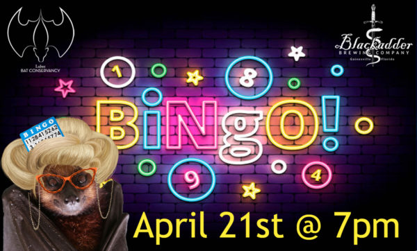 bingo at blackadder brewing company