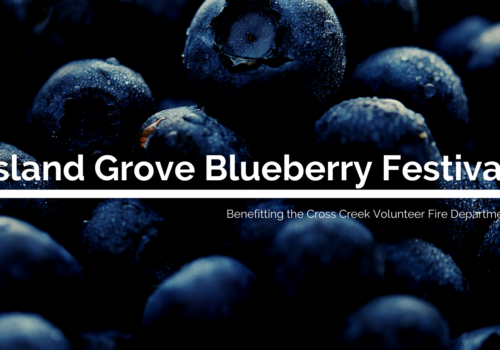 island grove blueberry festival