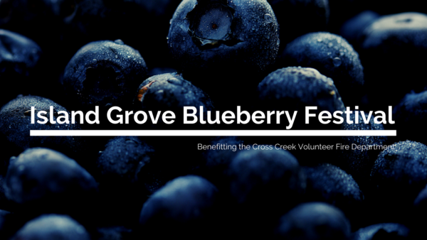 island grove blueberry festival