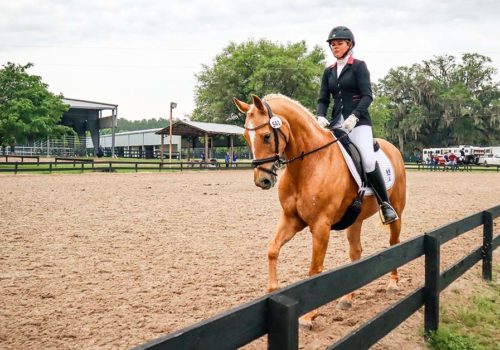 dressage horse rider