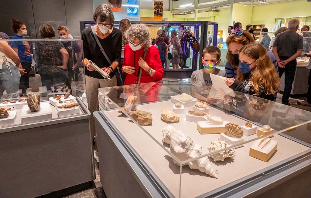 fossil exhibit