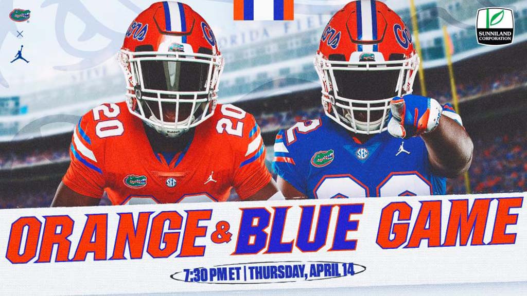 orange and blue game