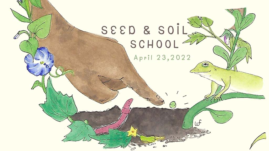 seed school