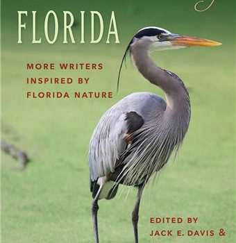 The Wilder Heart of Florida book cover