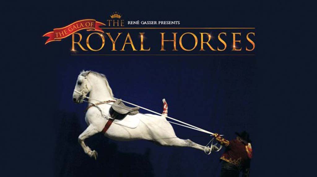 the gala of the royal horses