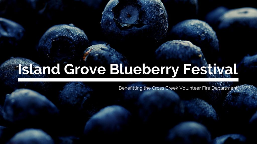 island grove blueberry festival