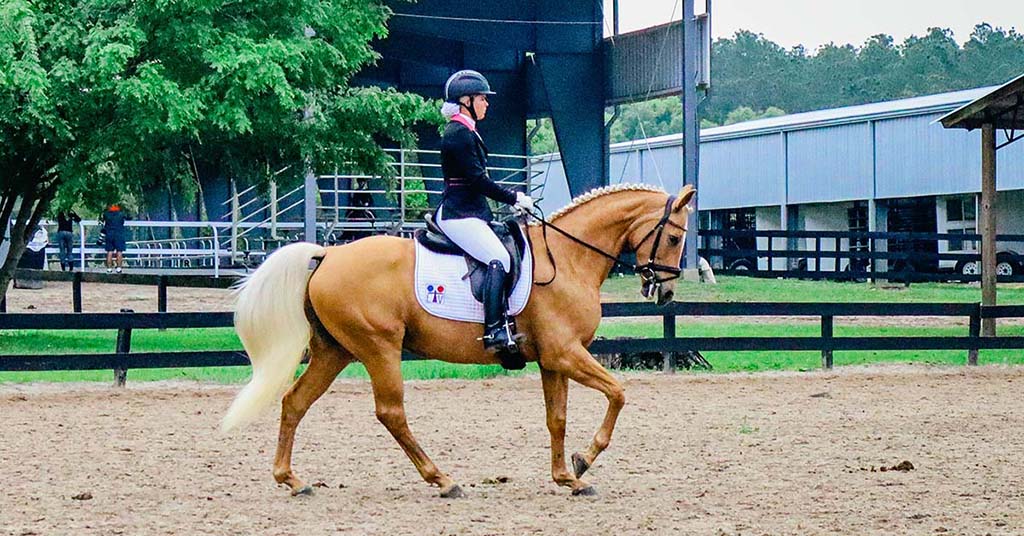 dressage