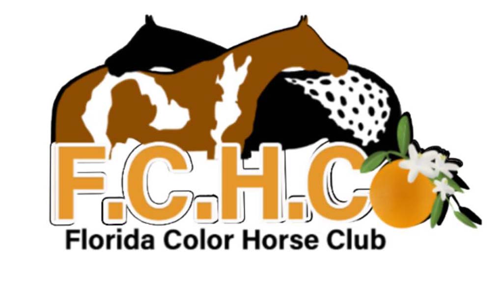 florida color horse club show