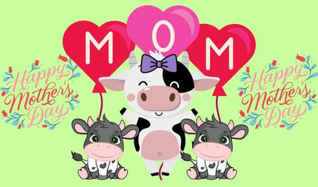 mom moo ket
