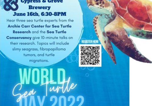 world sea turtle day