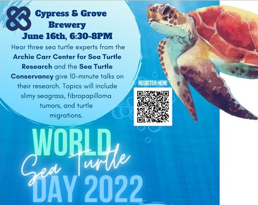world sea turtle day