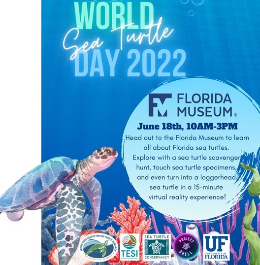 world sea turtle day