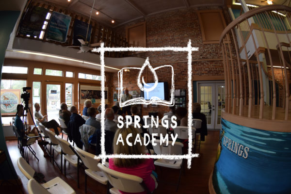 Springs Academy