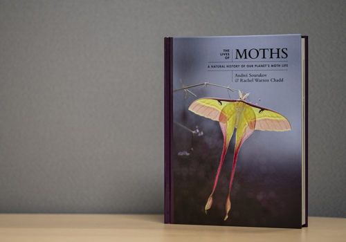 moth book on table