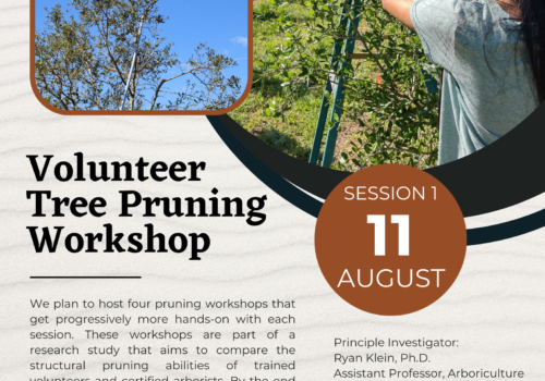 tree pruning workshop