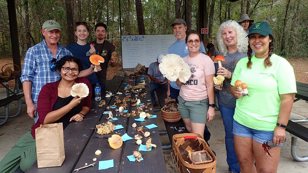 people holding mushrooms
