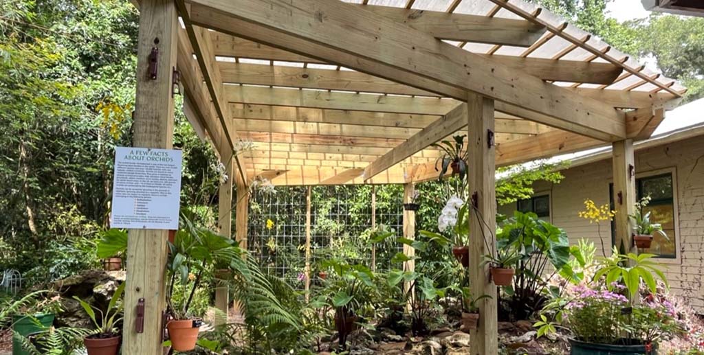 orchid pergola at kanapaha botanical gardens