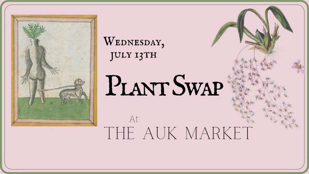 plant swap at the auk market