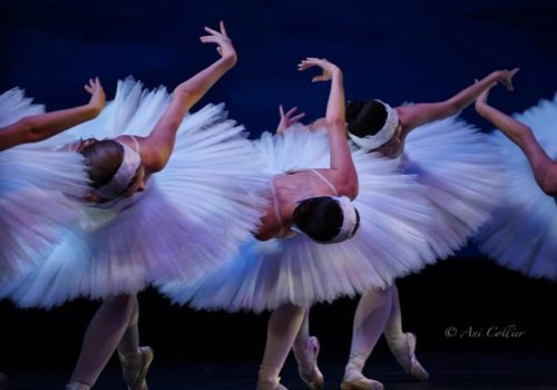 ballerinas in white tutus